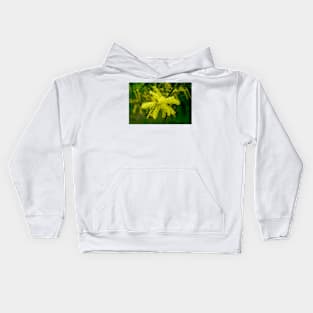 Wattle Flower Burst Kids Hoodie